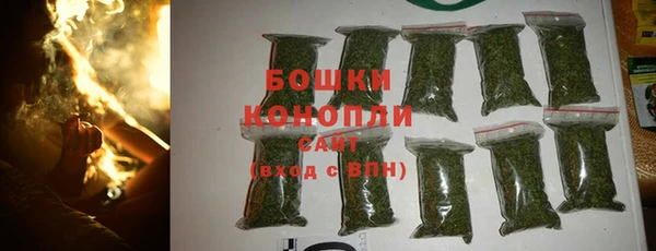 сатива Лихославль