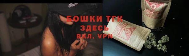 сатива Лихославль