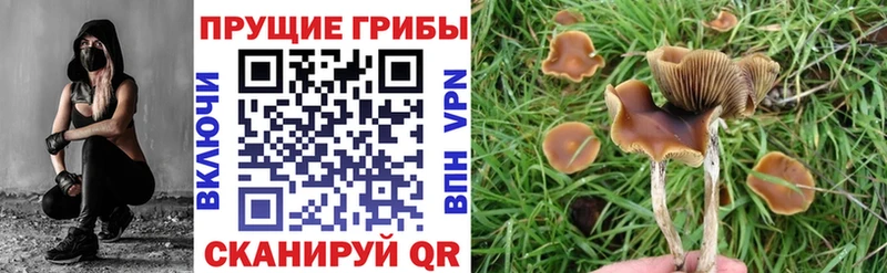 Галлюциногенные грибы ЛСД  KRAKEN tor  Новая Усмань 